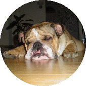 Mr.Scotch - Abt.Mahnwesen